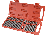 hroty IMBUS-TORX-XZN, sada PROFI 40ks, pro ráčny 3/8