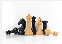 Katalog 2016 DGT Official FIDE Chess - šachové figurky