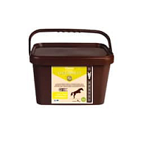 Fitmin horse ELEKTROLYT - 4 kg