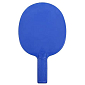 Outdoor Champion plastová pálka na stolní tenis modrá