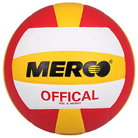 Official volejbalový míč