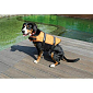 Dog Swimmer plovací vesta pro psa oranžová