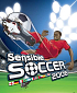 PC Sensible soccer 06