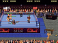 PC Federation wrestling