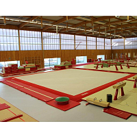 Gymnova Soutěžní gymnastická podlaha 14 x 14m