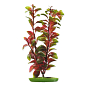 Rostlina LIVING WORLD Red Ludwigia 30 cm 1 ks