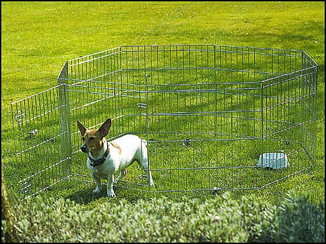 Ohrádka SAVIC Dog park 1 1 ks