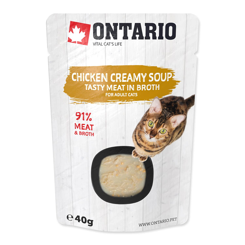 Polévka ONTARIO kuřecí se sýrem 40 g