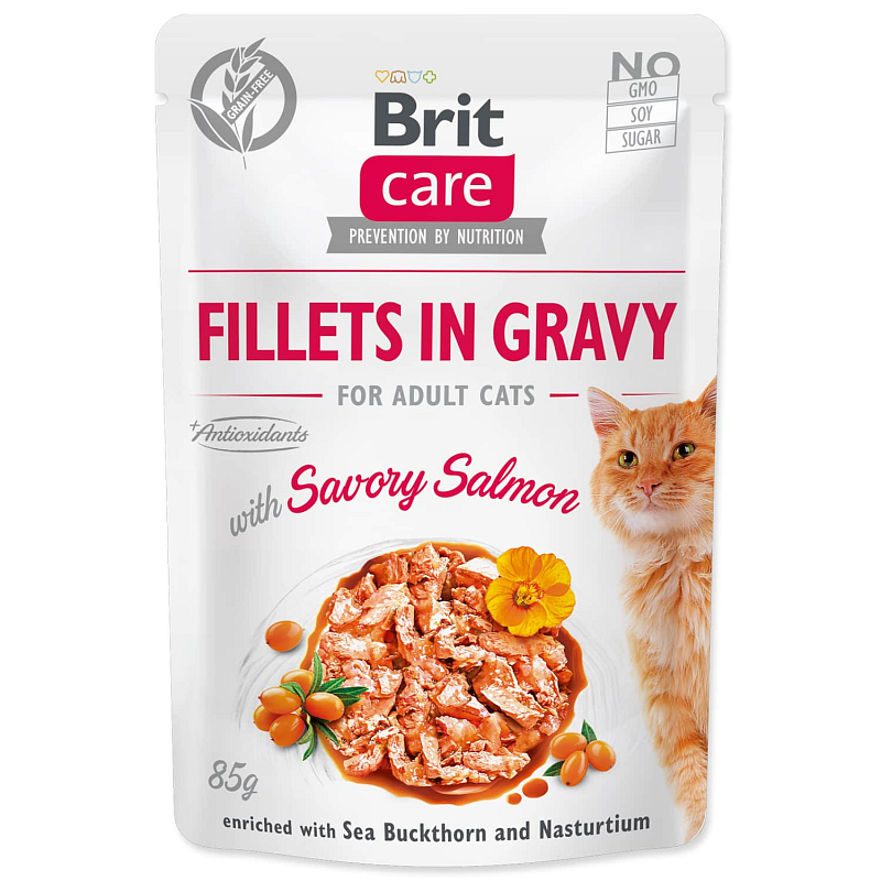 Kapsička BRIT Care Cat Fillets in Gravy with Savory Salmon 85 g