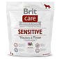 BRIT Care Dog Grain-free Sensitive Venison & Potato 1 kg