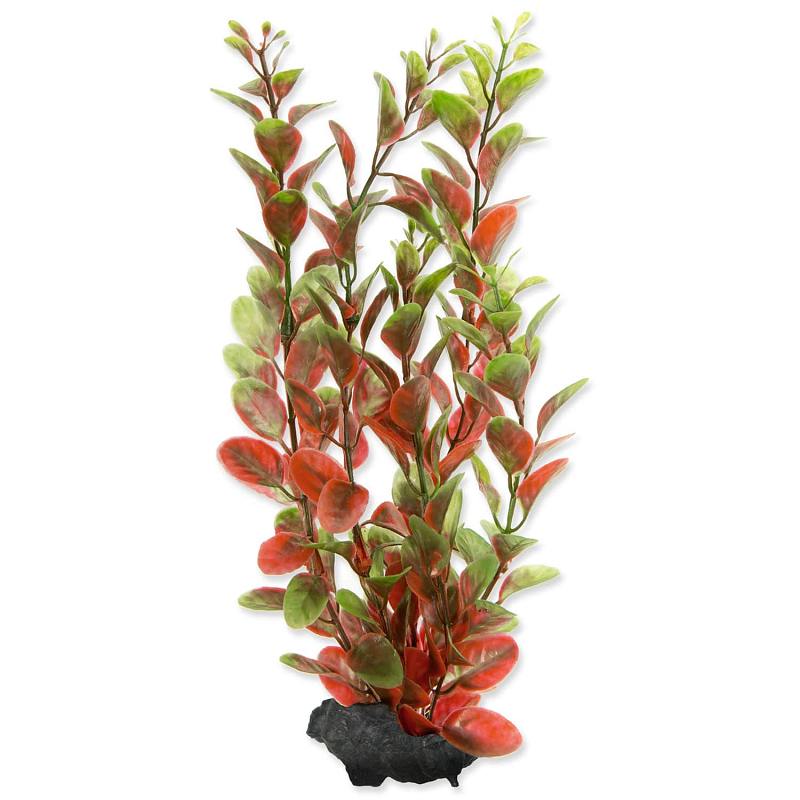 Rostlina TETRA Red Ludwigia M 1 ks