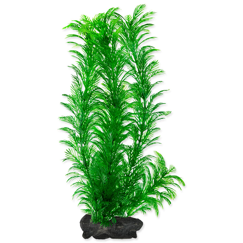 Rostlina TETRA Green Cabomba L 1 ks