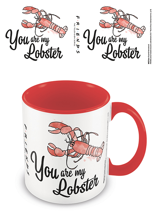 Hrnek barevný Přátelé (You are my lobster), 315 ml