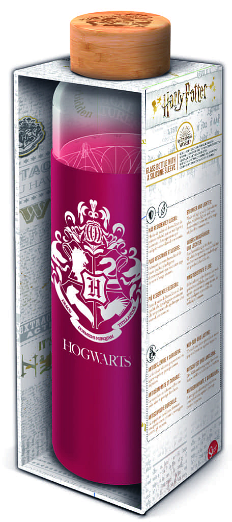 Skleněná láhev s návlekem 585 ml, Harry Potter