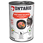 Konzerva ONTARIO Cat Beef, Salmon, Sunflower Oil 400 g