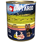 Konzerva ONTARIO Dog Lamb, Rice and Sunflower Oil 800 g