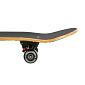 Skateboard NILS Extreme CR3108 Color Worms 2