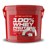 Scitec Nutrition 100% WP Professional 5000 g chocolate