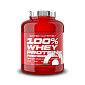 Scitec Nutrition 100% WP Professional 2350 g chocolate