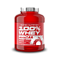 Scitec Nutrition 100% WP Professional 2350 g strawberry