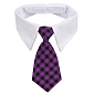 Gentledog kravata pro psy fialová