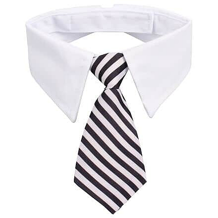 Gentledog kravata pro psy černá-bílá Velikost oblečení: S