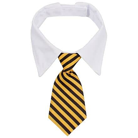 Gentledog kravata pro psy žlutá Velikost oblečení: L