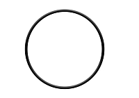 O-kroužek víka filtrace ProStar 4,6