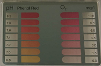 Tester na bezchlorovoú chémiu (O2)
