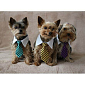 Gentledog kravata pro psy žlutá