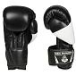 Boxerské rukavice DBX BUSHIDO B-2v6