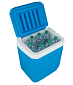 CAMPINGAZ Chladící box ICETIME PLUS 30L 2000024963
