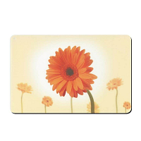 KELA Prostírání PICTURE gerbera, 43,5 x 28,5 cm KL-15056