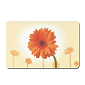 KELA Prostírání PICTURE gerbera, 43,5 x 28,5 cm KL-15056