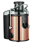 BERLINGERHAUS Odšťavňovač 400W Rosegold Metallic Line BH-9076