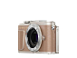 Digitální fotoaparát Olympus E-PL10 body brown
