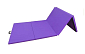 Žíněnka skládací čtyřdílná SEDCO ECO 240x120x5 cm - fialová