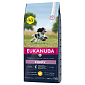 Krmivo EUKANUBA Puppy Medium 15+3kg ZDARMA