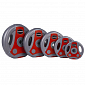 Cementový kotúč inSPORTline Ergo 1,25 kg šedo-červený