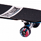 Skateboard Tony Hawk Roarry
