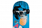 Area Cool Pineaple skateboard 71 cm