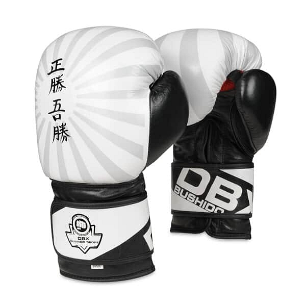 Boxerské rukavice DBX BUSHIDO B-2v8 14oz