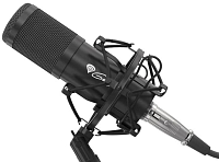 Genesis stream. mikrofon Radium 300