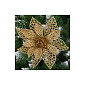 Vánoční hvězda s klipem 14x13 cm zlatá