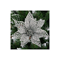Vánoční hvězda s klipem 14x13 cm stříbrná