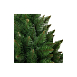 Vianočný stromček Borovica himalájska na kmienku 160 cm