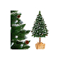 Vianočný stromček Borovica kanadská na kmienku 220 cm
