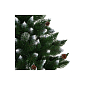 Vianočný stromček Borovica kanadská na kmienku 160 cm