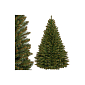 Vianočný stromček Smrek kaukazský 240 cm