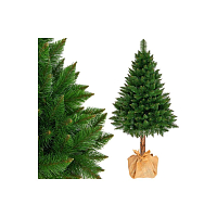 Vánoční stromek Borovice himalájská na kmínku 190 cm